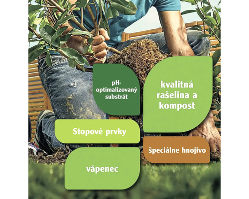 Záhradnícka scéna s pH optimalizovaným substrátom, kvalitnou rašelinou a kompostom, stopovými prvkami, vápencom a špeciálnym hnojivom.