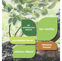Rastlina v zemi s informáciami o substráte s optimalizovaným pH, bez rašeliny, prevzdušnené korene, zadržiavanie vlhkosti a obohatenie o živiny
