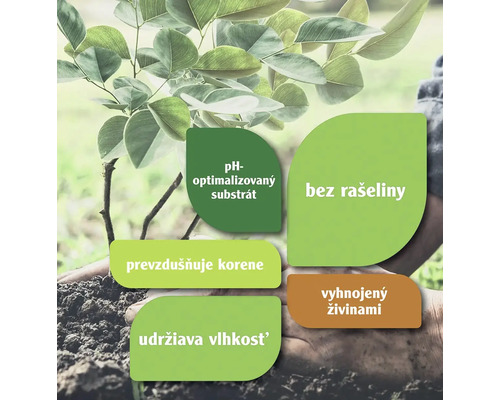 Rastlina v zemi s informáciami o substráte s optimalizovaným pH, bez rašeliny, prevzdušnené korene, zadržiavanie vlhkosti a obohatenie o živiny
