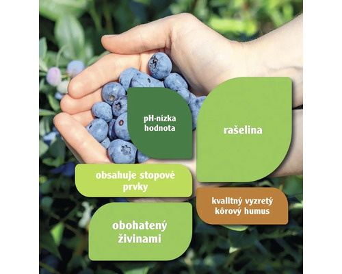 Hŕsť čučoriedok s informáciami o zložkách, ako je rašelina, stopové prvky, živiny a nízke pH.