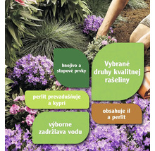 Záhradná scéna s rôznymi rastlinami a informáciami o hnojive a zložení pôdy