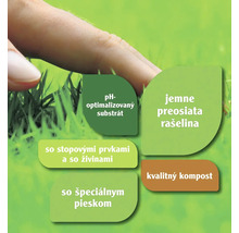 Substrát s optimalizovaným pH, jemne preosievaná rašelina, kvalitný kompost a špeciálna piesková zmes.