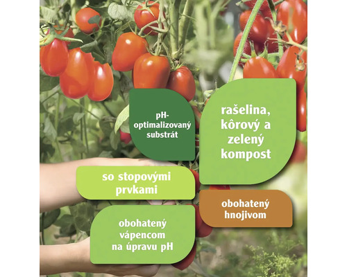Rastlina paradajky s informáciami o substráte s optimalizovaným pH, rašeline, kôrovom a zelenom komposte