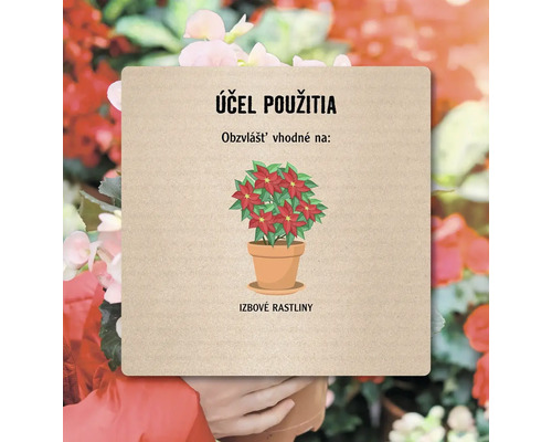 Ilustrácia izbovej rastliny v kvetináči, vhodná do interiéru