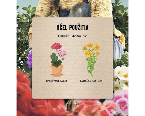 Ilustrácia balkónových kvetov a kvitnúcich rastlín zobrazených na tabuli.