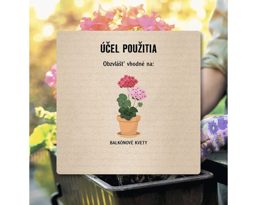 Účel použitia balkónové kvety