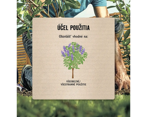 Ilustrácia stromu s fialovými kvetmi na všeobecné použitie.