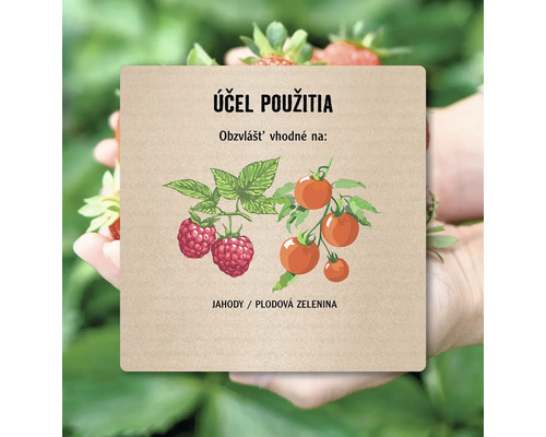 Ilustrácia balenia pre jahody a plodovú zeleninu