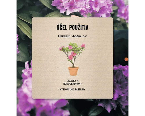 Informácie o použití azaliek a rododendrónov ako acidofilných rastlín