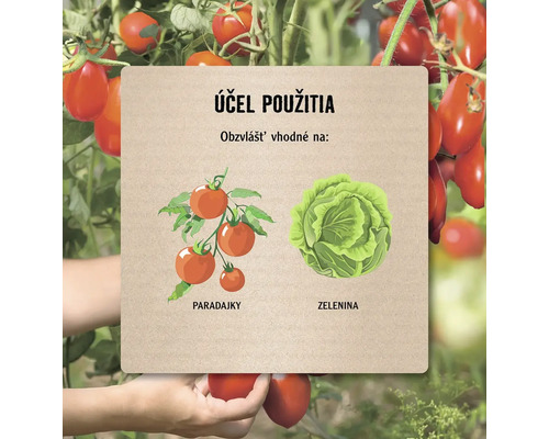 Ilustrácia s paradajkami a hlávkovou kapustou, ktorá znázorňuje účel použitia