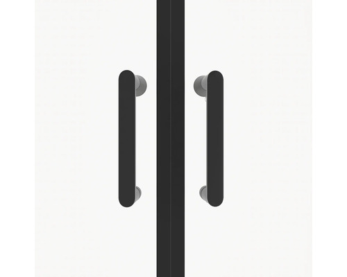 Sprchové dvere s dvomi držadlami