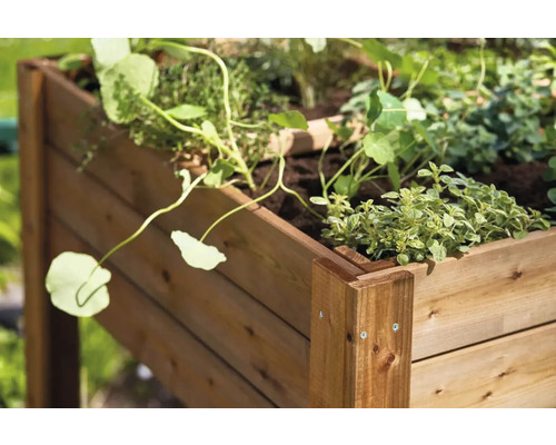 Drevený vyvýšený záhon s bylinkami a rastlinami