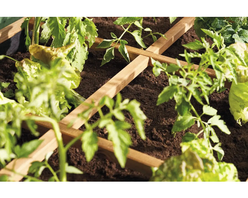 Vyvýšený záhon s rastlinami a drevenou mrežovou oporou