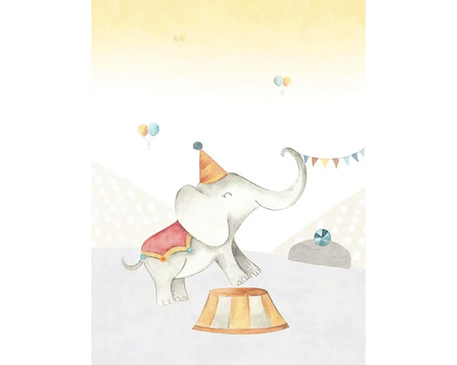 Ilustrácia cirkusového slona s klobúkom a podstavcom