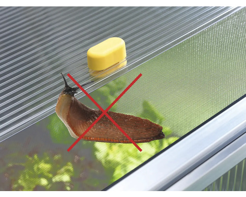 Slimák s červeným krížom na parenisku