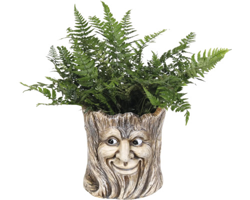Kvetináč s tvárou a papraďou