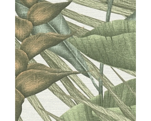 Ilustrácia s listami a rastlinami