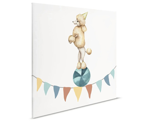 Plátno s pudlom s párty klobúkom na guli a girlandou