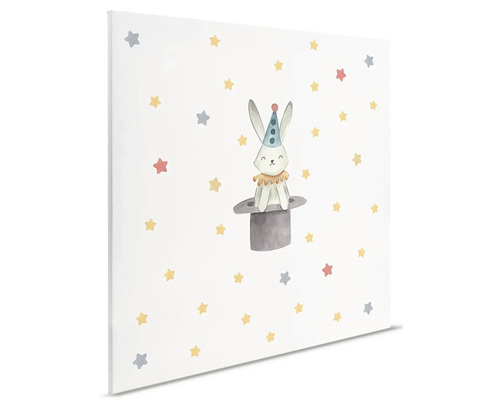 Dekoratívne plátno s motívom králika v cylindri