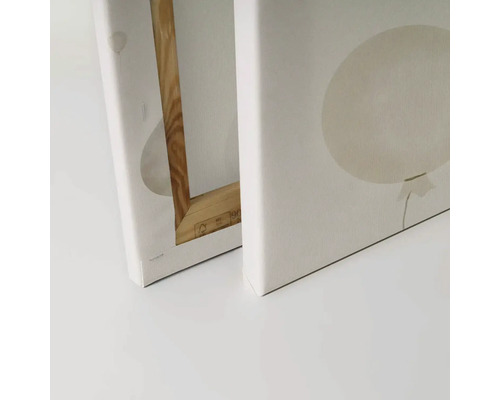 Detailný pohľad na dva obrazy na plátne s motívom balónov a dreveným rámom