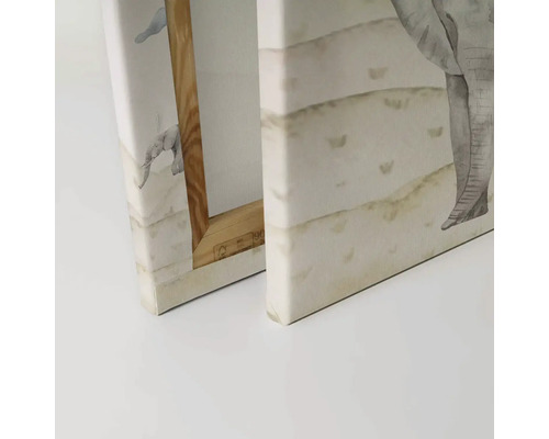 Detailný pohľad na dva obrazy na plátne s motívom slona