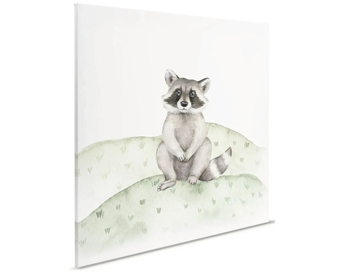 Ilustrácia mývala na plátne