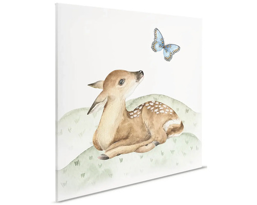 Ilustrácia srnčieho mláďaťa s motýľom na plátne