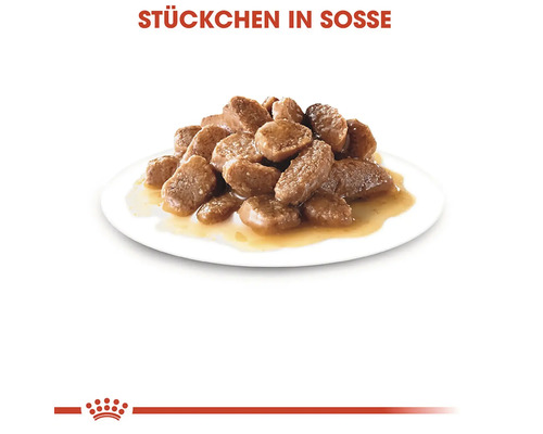 Kúsky v omáčke na tanieri, krmivo pre mačky