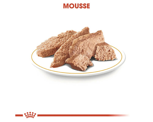 Pena pre mačky na tanieri