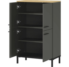 Sivá viacúčelová skriňa s dvomi dvierkami, úložnými priehradkami a nožičkami