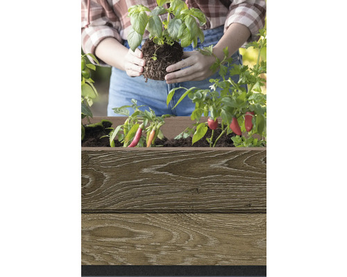 Žena sadí bazalku do drevenej bedničky s paprikami.