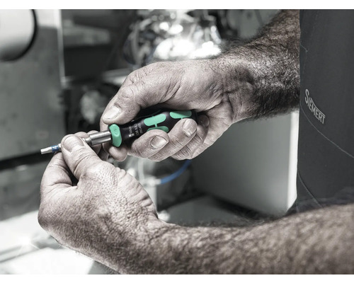 Osoba drží v ruke skrutkovač Wera.