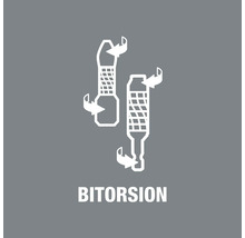 Symbol Bitorsion