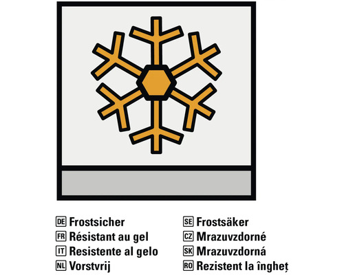 Symbol mrazuvzdornosti