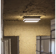 LED vonkajšie stropné svietidlo Kanlux 38788 BENO 12-18W CCT-L-SEG IP65 12-18 W 3000-3500-4000 K farba grafit so senzorom pohybu