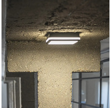 LED vonkajšie stropné svietidlo Kanlux 38788 BENO 12-18W CCT-L-SEG IP65 12-18 W 3000-3500-4000 K farba grafit so senzorom pohybu