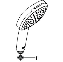 Ručná sprcha GROHE 110 x 110 mm chróm 26933001