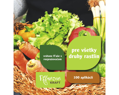 Košík zeleniny so šalátom, mrkvou, paprikou a pórom