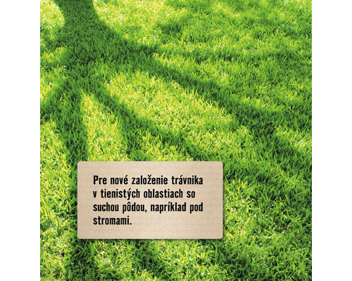 Zelená plocha s pokynmi pre novú výsadbu trávnika v tienistých oblastiach