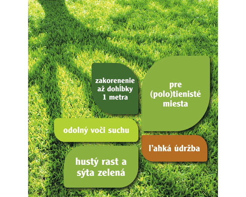 Informácie o hlbokom zakorenení trávnika, odolnosti voči suchu, raste na polotienistých miestach, jednoduchej údržbe a sýtozelenej farbe