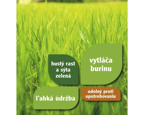 Informácie o hustom raste, sýtej zeleni, vytláčaní buriny, jednoduchej údržbe a odolnosti proti opotrebovaniu.