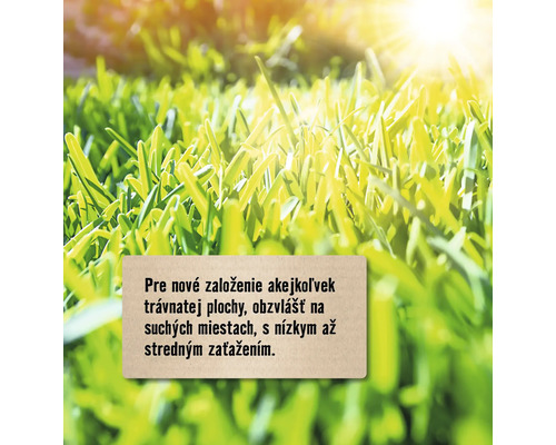 Trávnatá plocha na založenie trávnikov