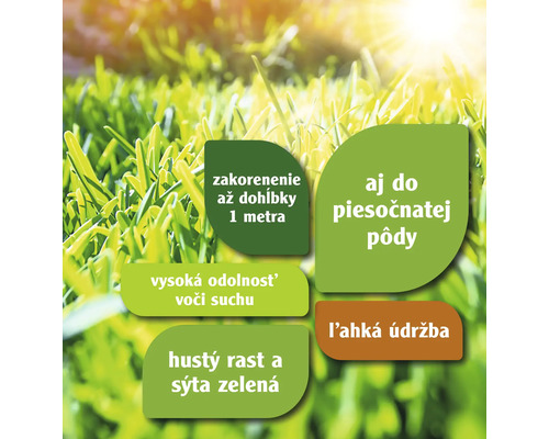 Informácie o vlastnostiach produktu Trávnik