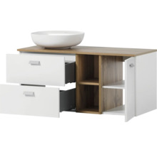 Skrinka pod umývadlo s dvomi zásuvkami, otvorenou policou a jednými dvierkami