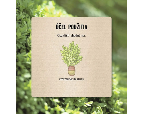 Návod na použitie pre vždyzelené rastliny