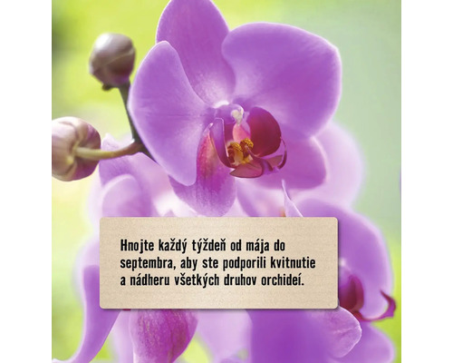 Pokyny pre týždenné hnojenie orchideí na podporu kvitnutia.