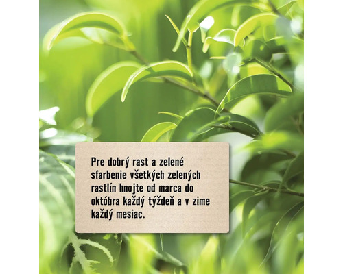 Pokyny na hnojenie rastlín pre dobrý rast