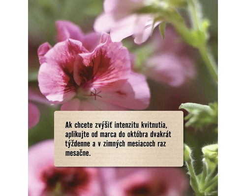 Informácia pre zvýšenie intenzity kvitnutia