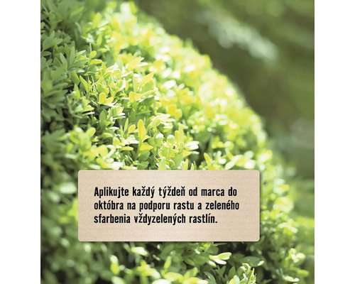 Informácie o aplikácii na podporu rastu a zeleného sfarbenia vždyzelených rastlín.