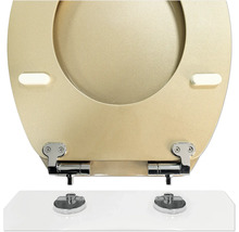 WC doska form&style Metallic béžová s automatickým zavtváraním